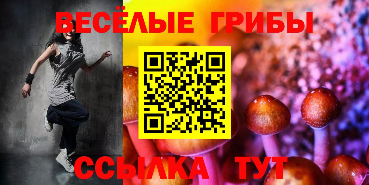 Галлюциногенные грибы Psilocybe  Псилоцибиновые грибы Cubensis  Донской  Вход с VPN 