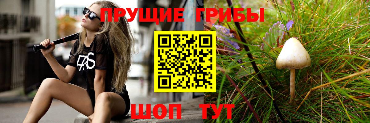 Галлюциногенные грибы Magic Shrooms Донской
