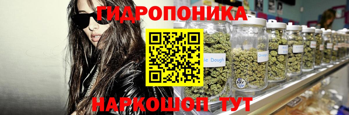 Конопля OG Kush Донской